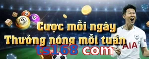 ts168 com